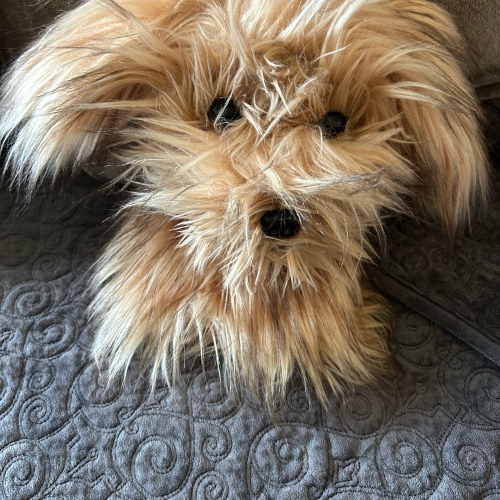 Golf Club Cover Fluffy Tan Dog